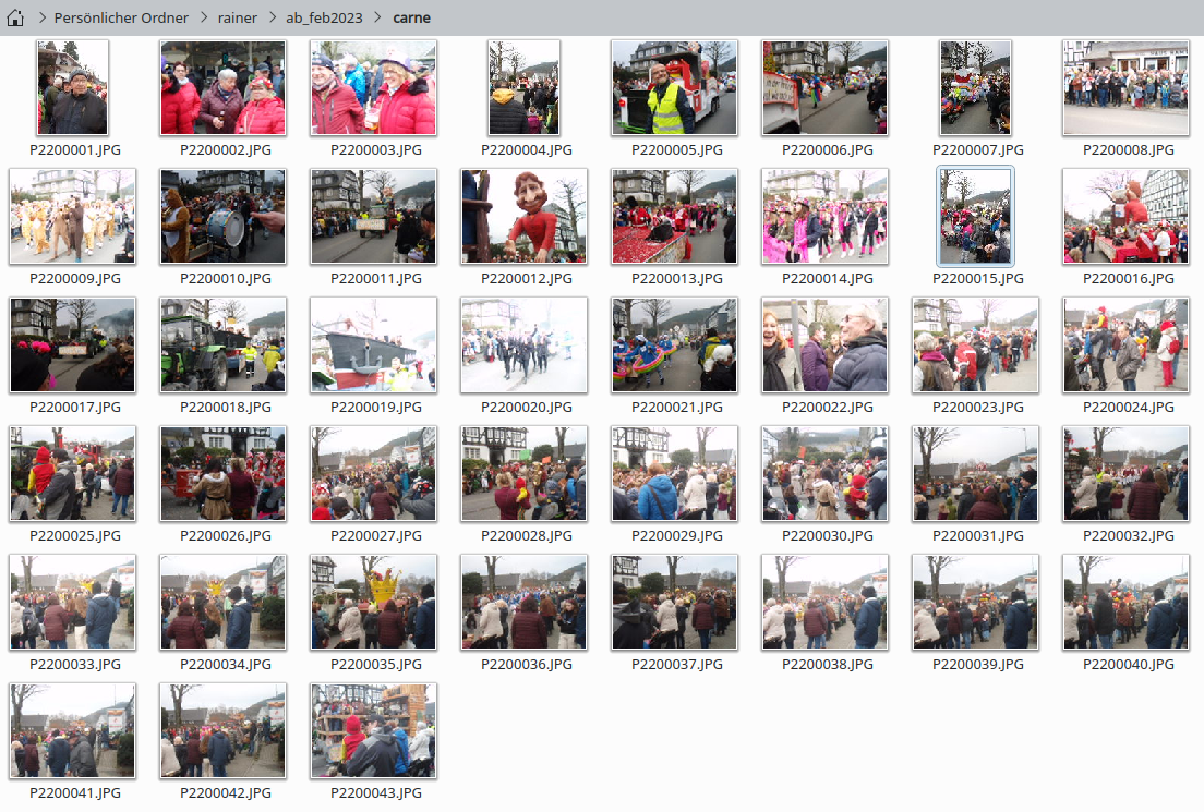 thumbnails vom Karnelval in Saalau 2023